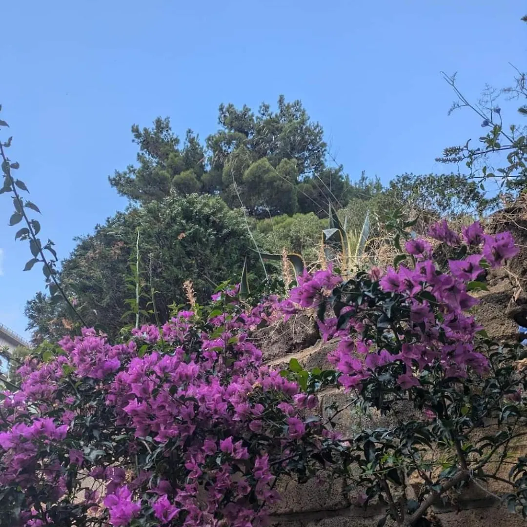 Apartamento Terra Mia Cefalú