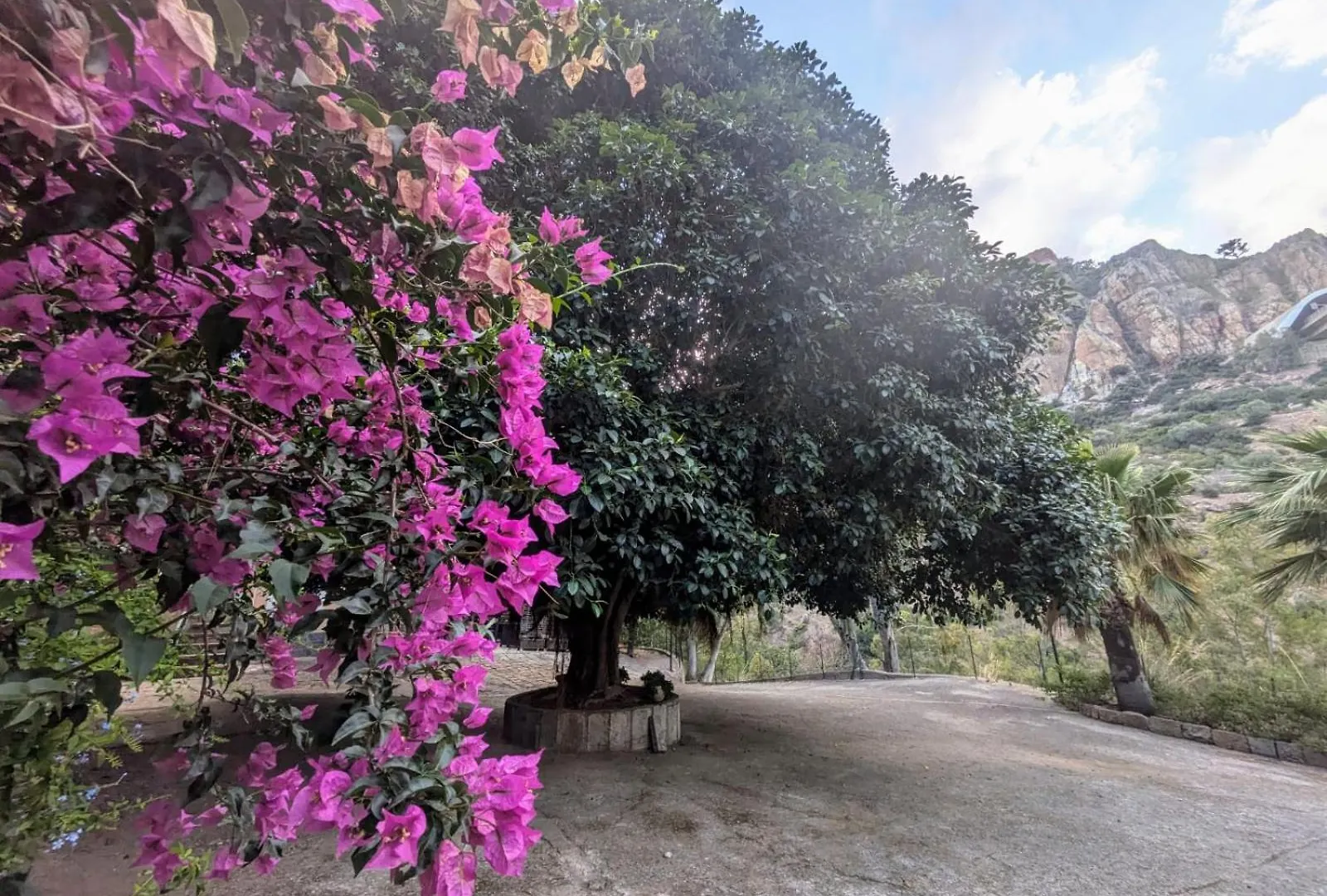 Ferienwohnung Terra Mia Cefalù 0*,  Italien